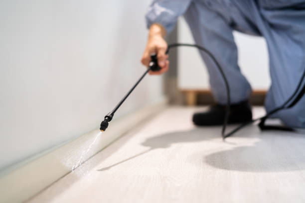 Licensed Pest Control service in Sheridan, WY - Show Me Pest Control